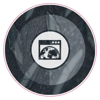 Co119-InternetPresenceIcon-Jan16