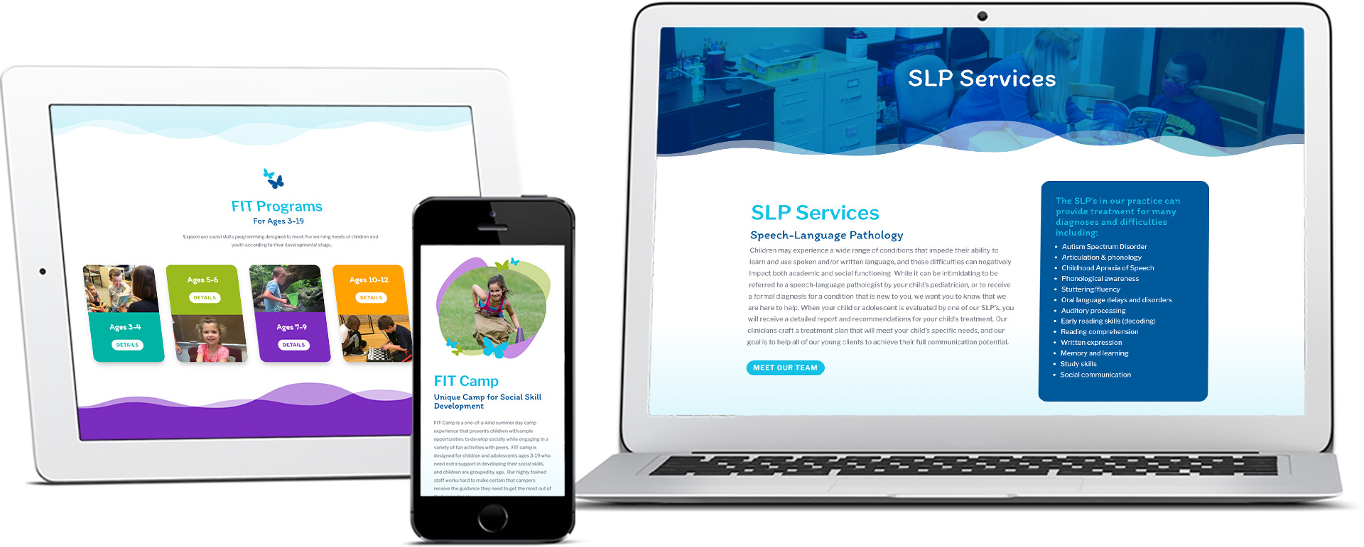 Nicole Gerami website mockup on devices