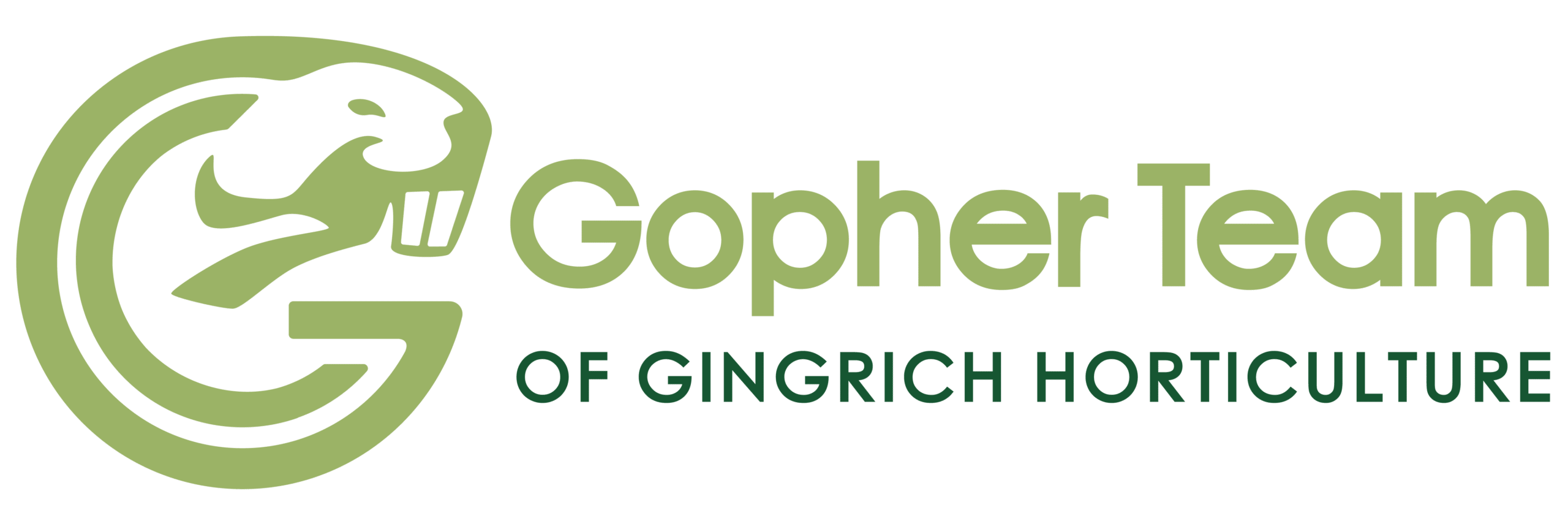 Gopher Team logo
