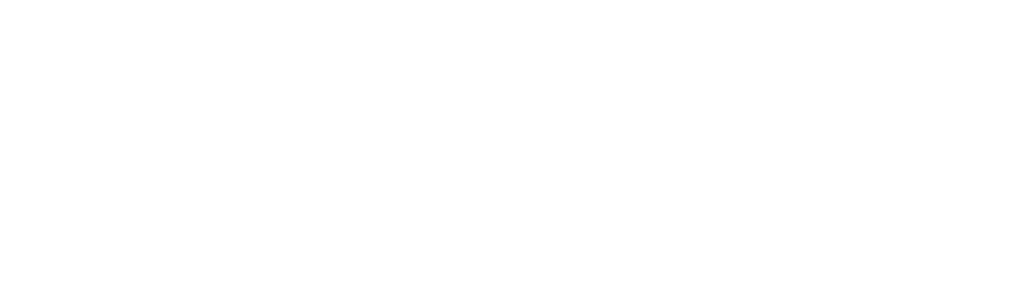 white hubspot logo