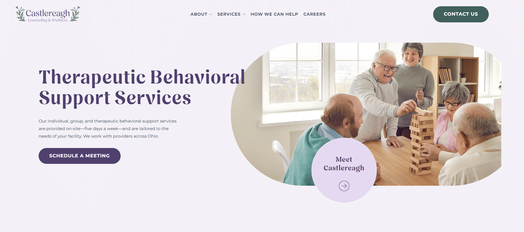 Home page of Castlereagh website